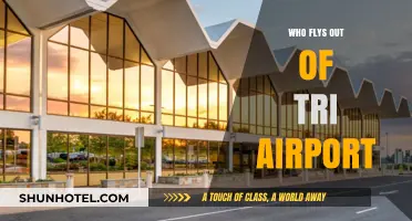 Tri-Airport: A Hub for Multiple Airlines