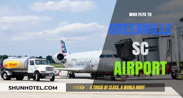 Airlines Flying into Greenville, SC: Your Guide