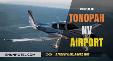 Tonopah NV Airport: Which Airlines Fly There?