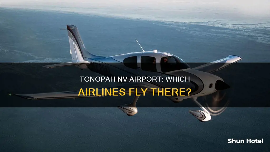who flys to tonopah nv airport