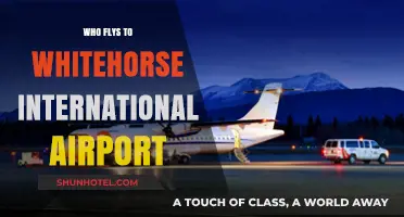 Who Flies to Whitehorse International Airport: Key Airlines and Routes