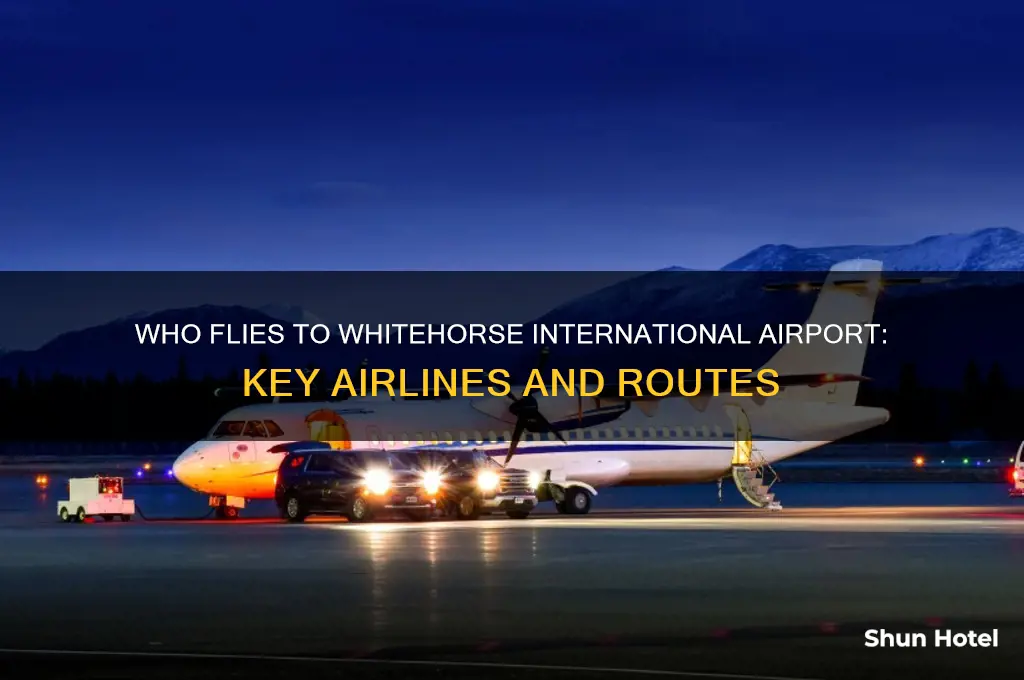 who flys to whitehorse international airport