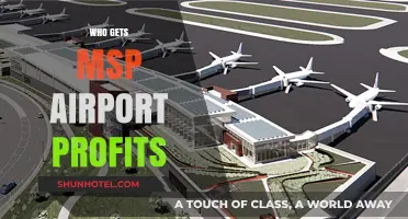 Who Benefits from MSP Airport's Profits? A Deep Dive
