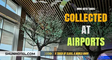 Who Benefits from Airport Taxes? Unraveling the Revenue Distribution
