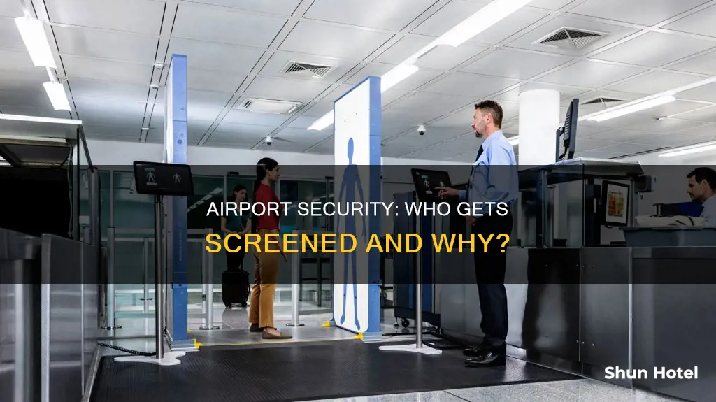 who goes through detector at airport