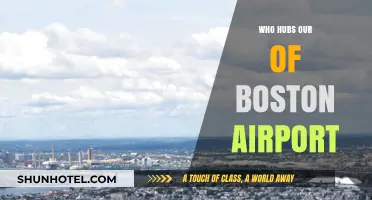 Boston Airport: A Hub for Who?