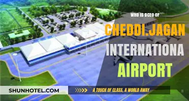 Meet the DCEO Leading Cheddi Jagan International Airport's Success