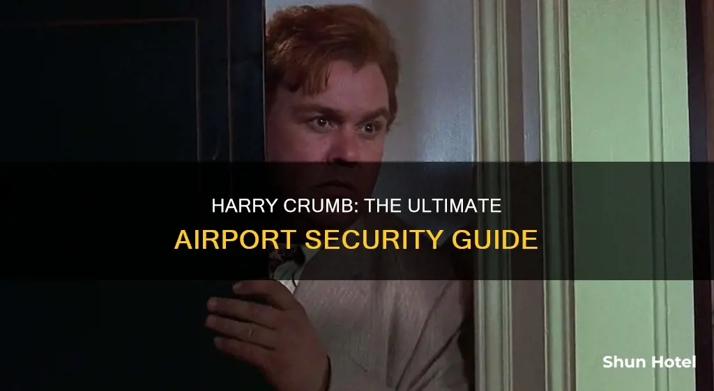who is harry crumb airport security