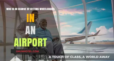 Navigating Airport Wheelchair Assistance: Who Manages Accessibility Services?