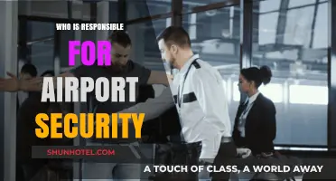 Airport Security: Who's in Charge?