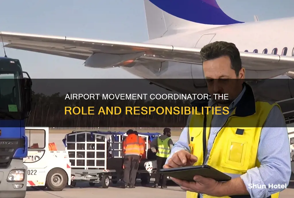 who is the airport movement coordinator