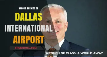 Meet the CEO Leading Dallas International Airport's Success