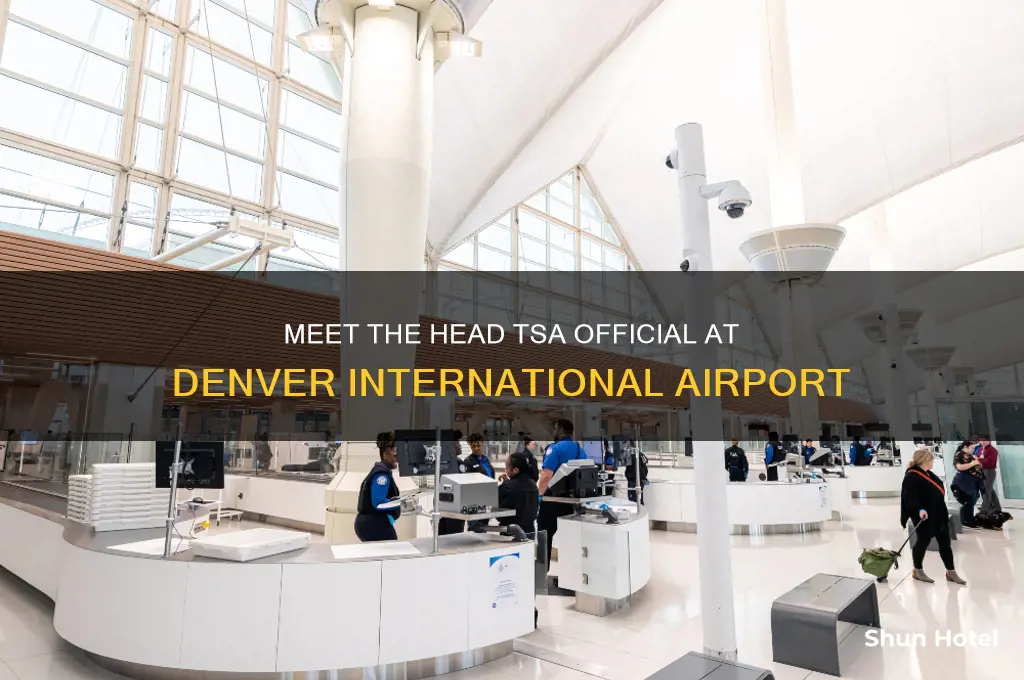 who is the head tsa at denver international airport