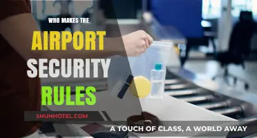 Airport Security Rules: Who Makes Them?