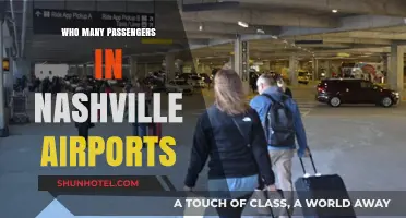 Nashville Airport Passenger Traffic: A Snapshot