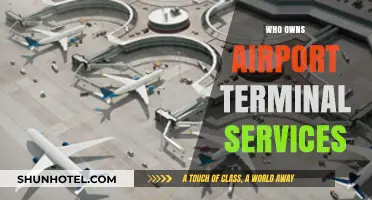 Unveiling Ownership: A Deep Dive into Airport Terminal Services