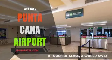 Punta Cana Airport: Who Owns This Paradise Gateway?