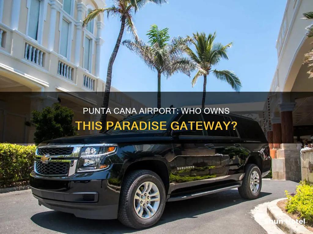 who owns punta cana airport