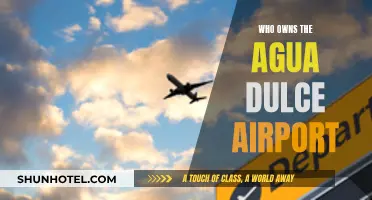 The Mystery Owner of Agua Dulce Airport