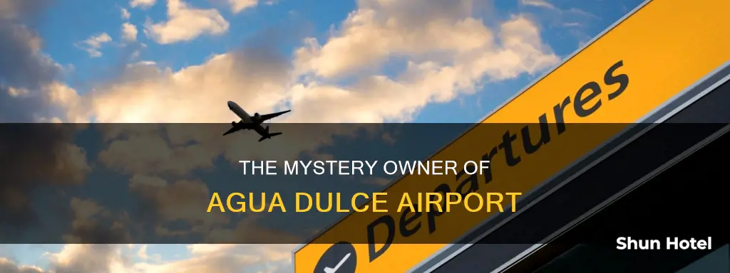 who owns the agua dulce airport