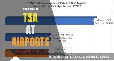 TSA Funding: Who Pays for Airport Security?