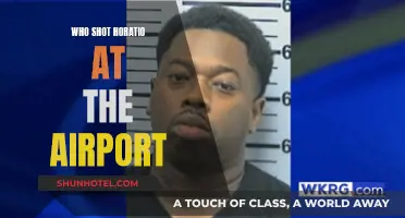 Mystery of Horatio's Airport Shooter: Unveiling the Truth