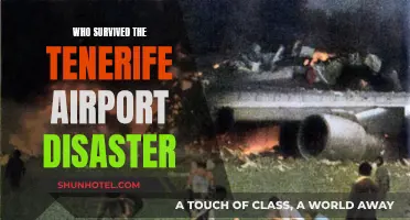 Tenerife Airport Disaster: Who Cheated Death?