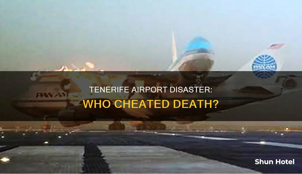 who survived the tenerife airport disaster