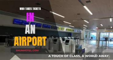 Airline Ticket Agents: The Gatekeepers of Air Travel