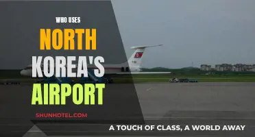 The Mystery of North Korea's Airport Visitors