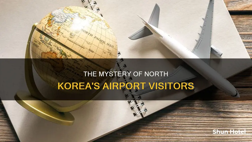 who uses north korea