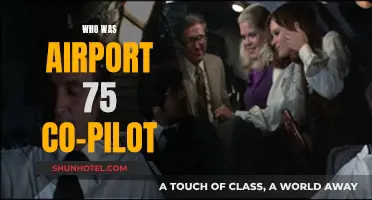 Airport 75 Co-Pilot: The Mystery Man Unveiled