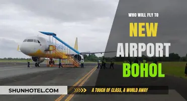 Discover Bohol's New Airport: Who Will Operate Flights?