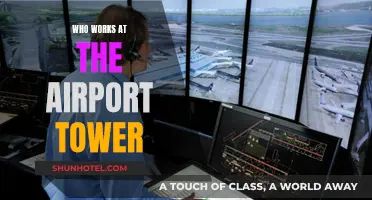 Air Traffic Controllers: The Eyes of the Airport Tower