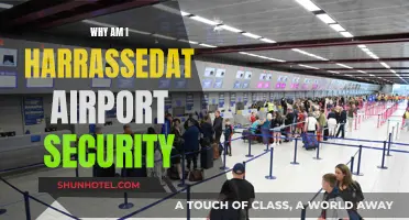 Airport Security: Why the Targeted Harassment?