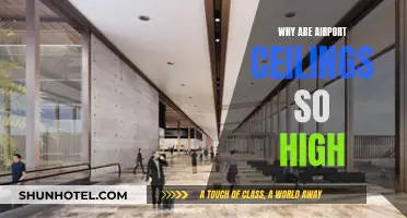 Airport Ceilings: Height for a Purpose