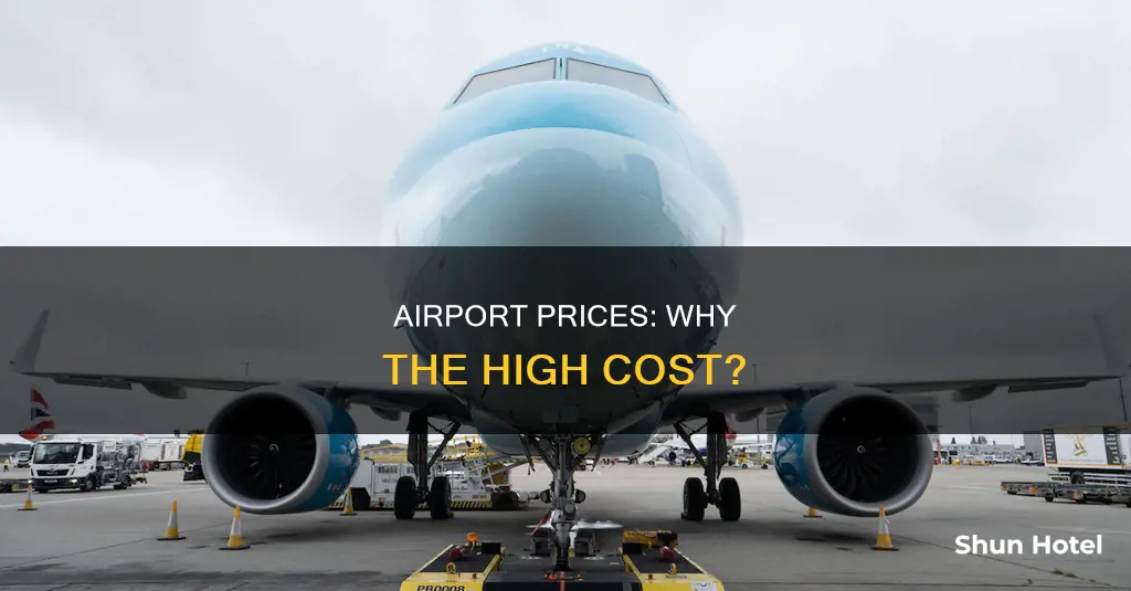 why are airport prices so high