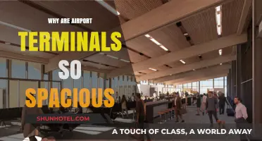 Exploring the Reasons Behind Spacious Airport Terminal Designs