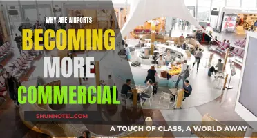 Airports: Commercialization of Transit Spaces