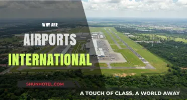 Why Airports Earn the 'International' Title: A Global Gateway Explained