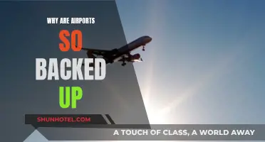 Airports in Chaos: Understanding the Backups