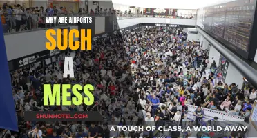 Airports: Chaotic, Stressful, and a Necessary Evil?