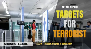 Terrorist Targets: Airports' Appeal to Extremists