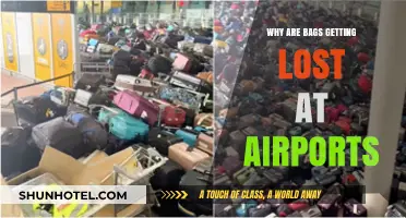 Why Are Bags Getting Lost at Airports? Unraveling the Chaos