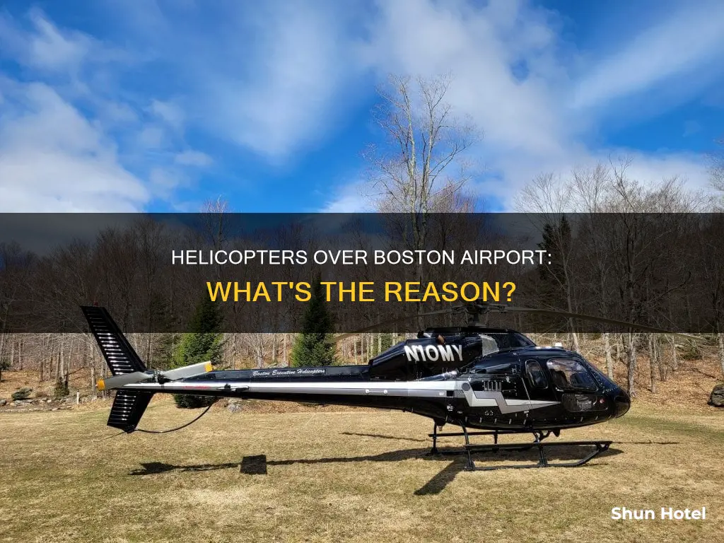 why are helicopters over boston airport