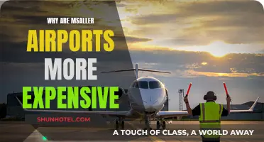 Smaller Airports: Costly Convenience