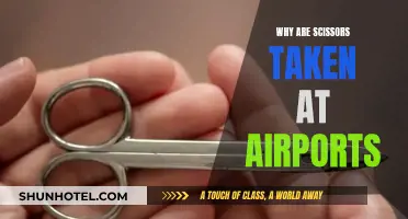 Airport Scissors Confiscation: Why the Fuss?