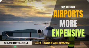 Small Airports: Higher Costs, Higher Prices
