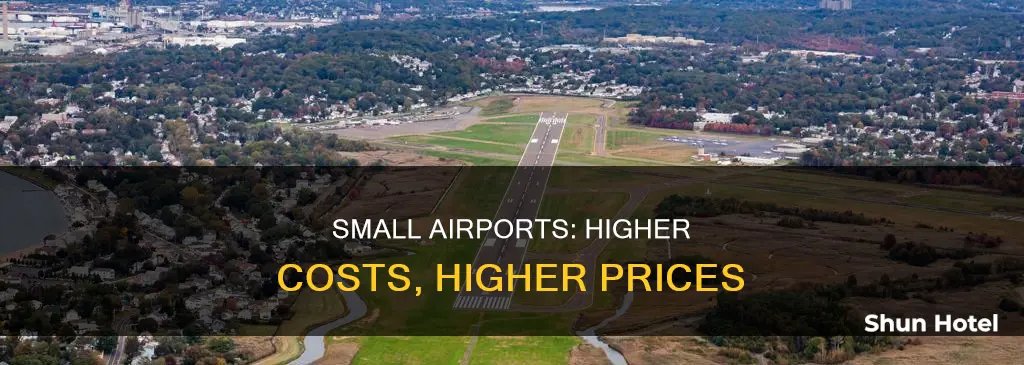 why are small airports more expensive