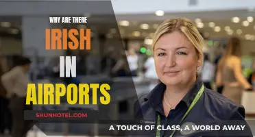Irish in Airports: A Common Sight Explained